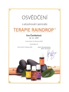 Therapeutische Massage Raindrop Naturalogica